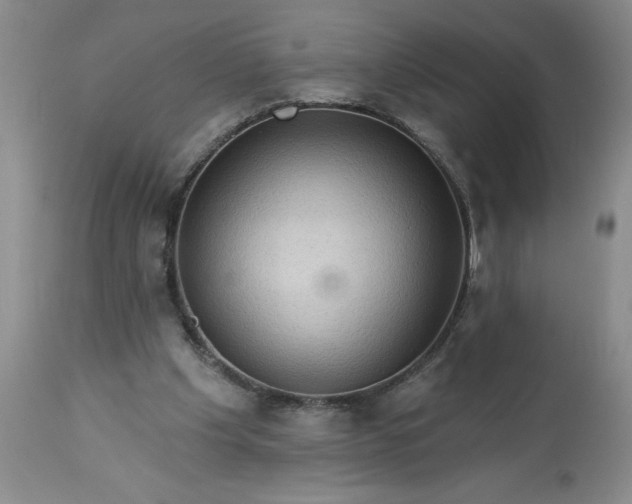 X0000113610201200910021812