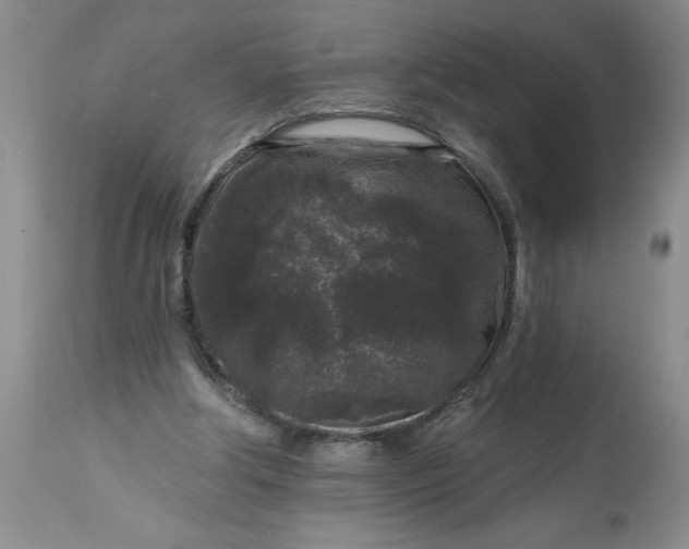 X0000113610202200910021812