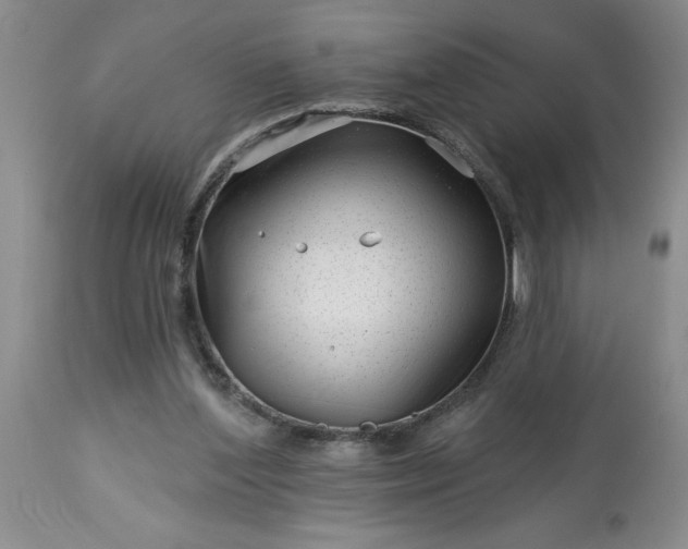 X0000113610204200910021812