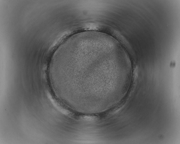 X0000113610209200910021812