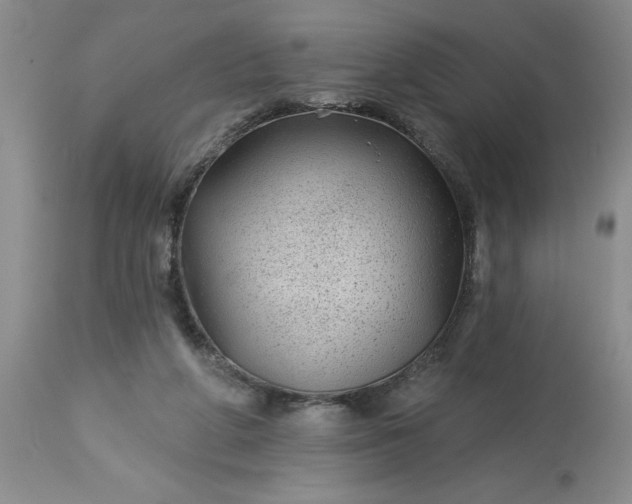 X0000113610210200910021812