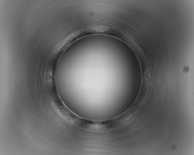 X0000113610212200910021812