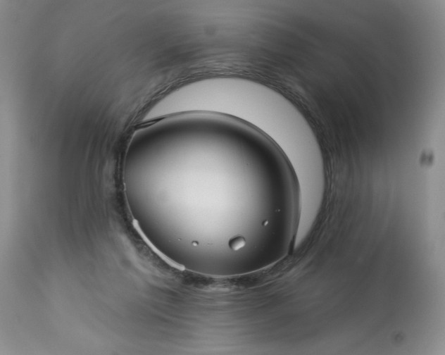 X0000113610213200910021811