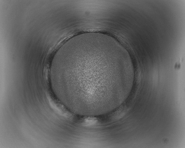 X0000113610214200910021811