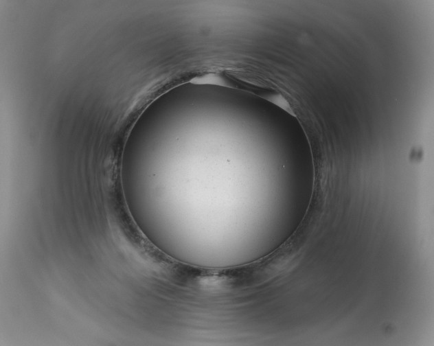 X0000113610216200910021811