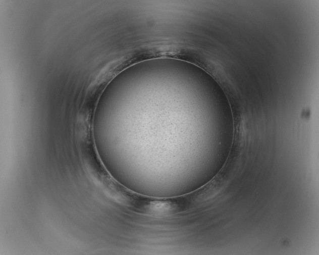 X0000113610218200910021811