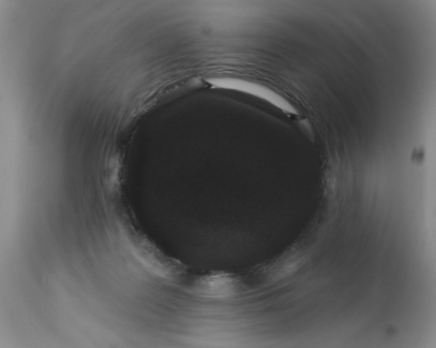 X0000113610219200910021811