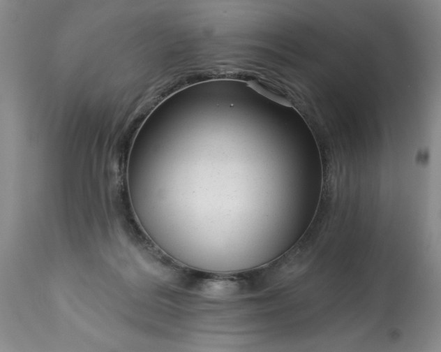 X0000113610220200910021811