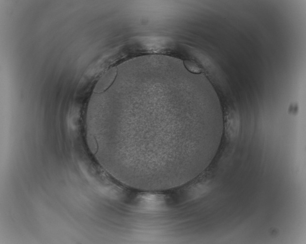 X0000113610221200910021811