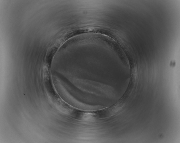 X0000113610222200910021811