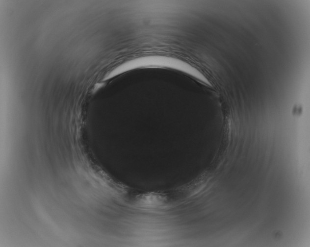 X0000113610223200910021811