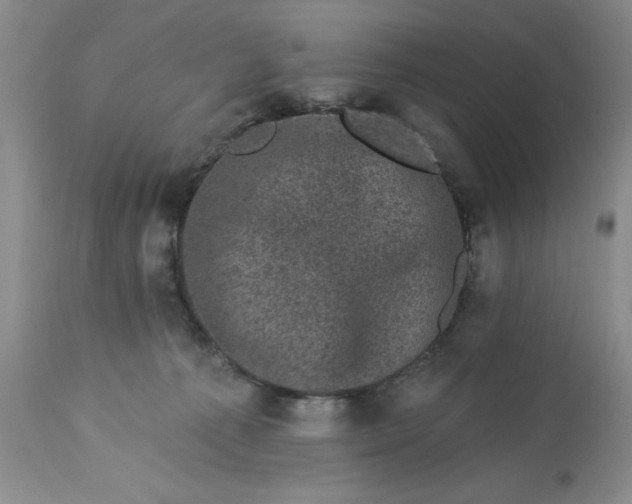 X0000113610225200910021811