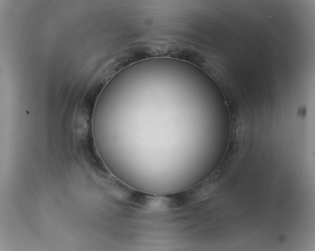 X0000113610226200910021811