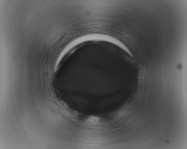 X0000113610227200910021811