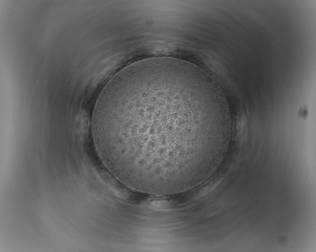 X0000113610228200910021811