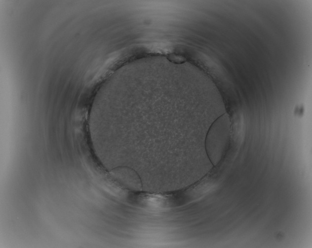 X0000113610229200910021811