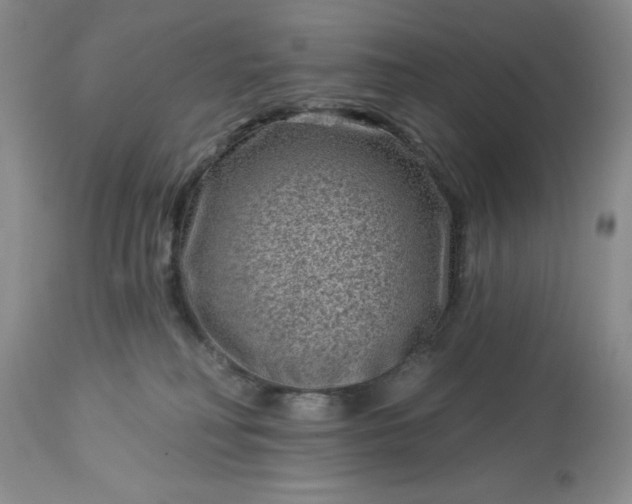 X0000113610230200910021811