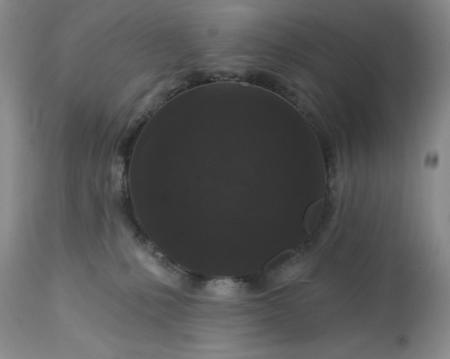 X0000113610231200910021811