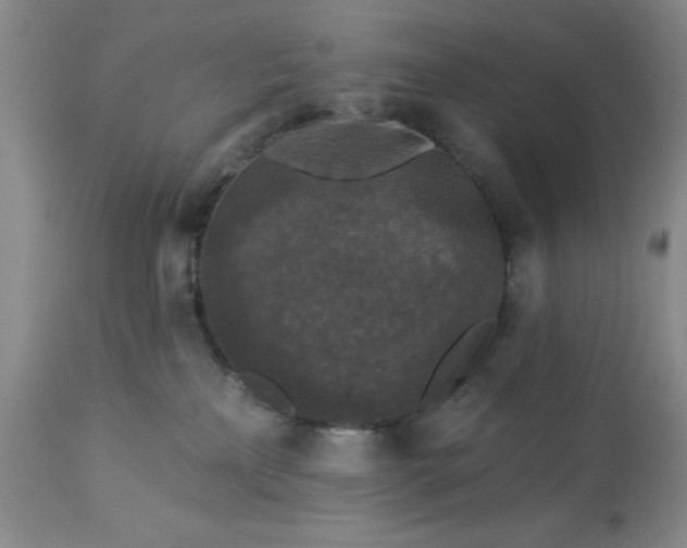 X0000113610233200910021811