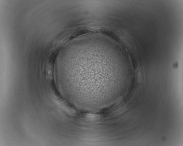 X0000113610234200910021811