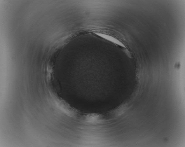 X0000113610235200910021811