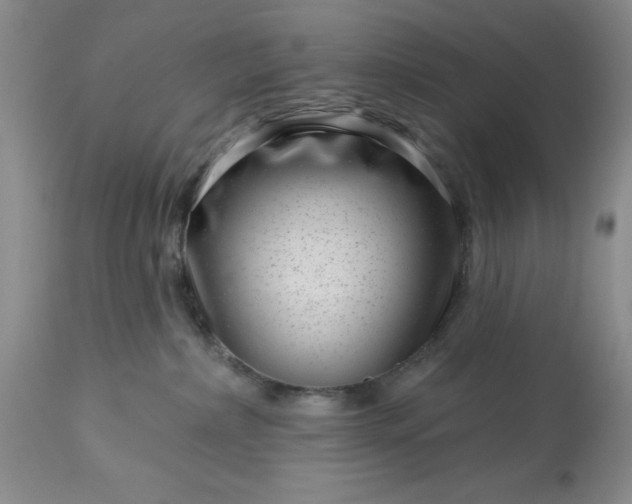 X0000113610236200910021811