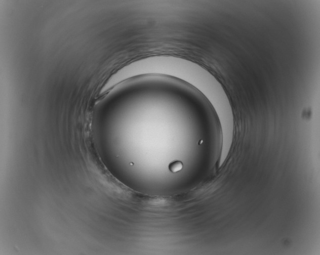 X0000113610237200910021811