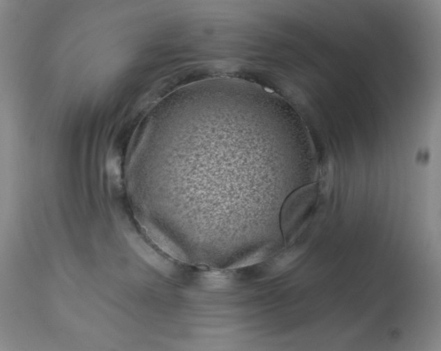 X0000113610238200910021811