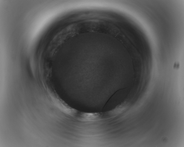 X0000113610239200910021811