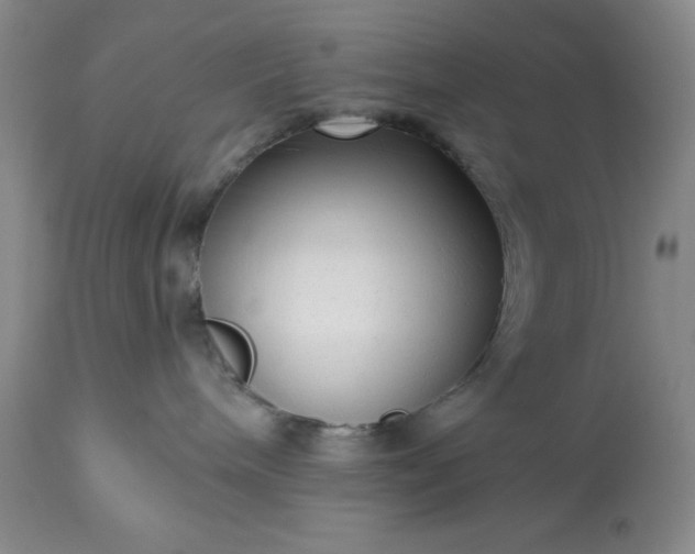 X0000113610240200910021811