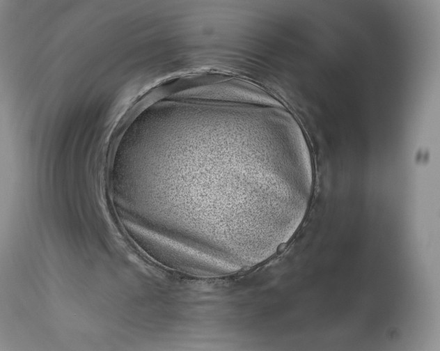 X0000113610241200910021810