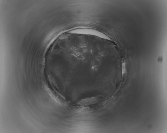 X0000113610243200910021810