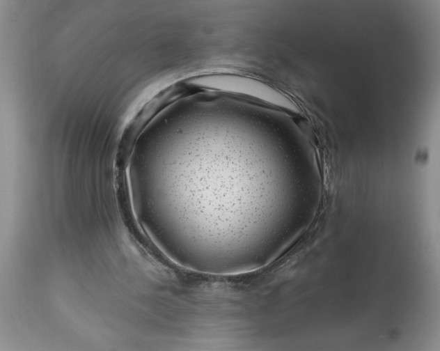 X0000113610244200910021810