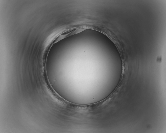 X0000113610245200910021810