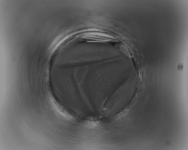 X0000113610247200910021810