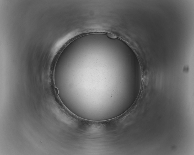 X0000113610248200910021810