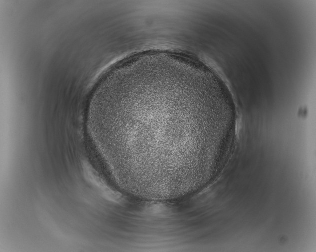 X0000113610249200910021810