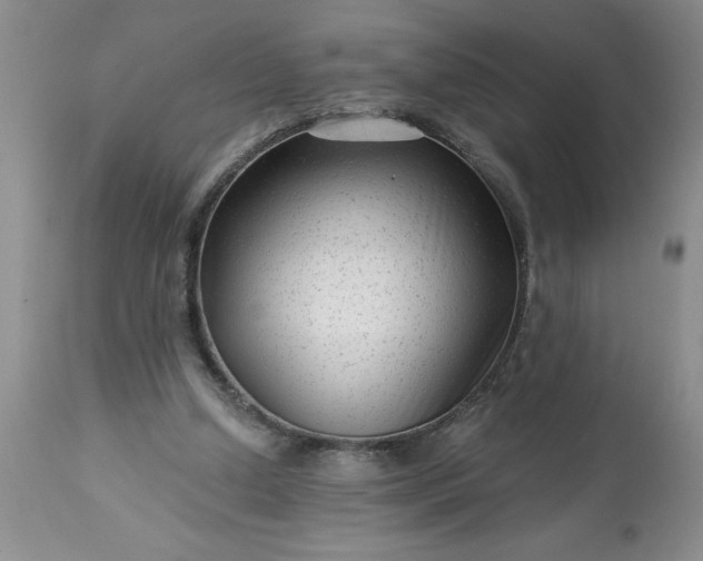 X0000113610250200910021810