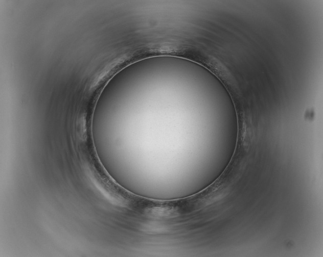 X0000113610251200910021810