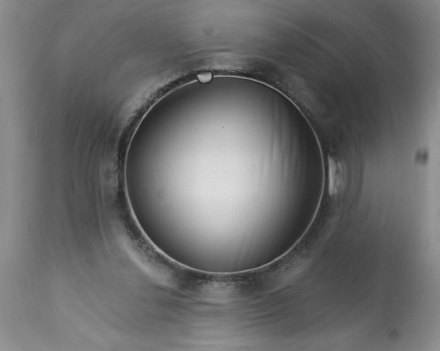 X0000113610252200910021810