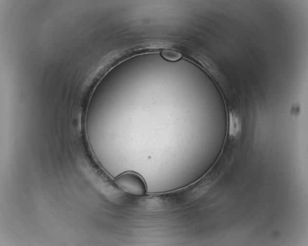 X0000113610253200910021810