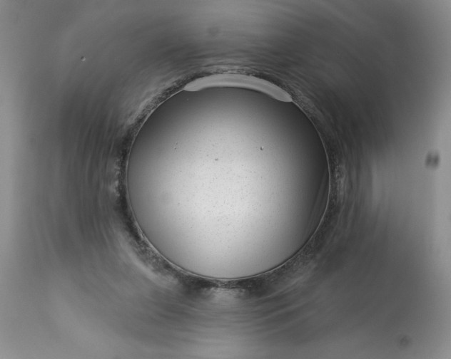 X0000113610255200910021810