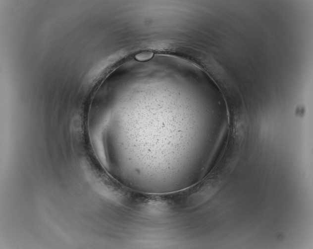 X0000113610256200910021810