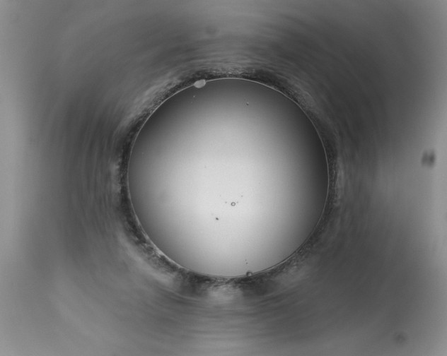 X0000113610258200910021810