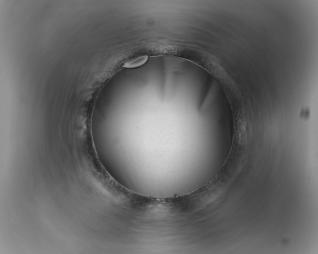 X0000113610259200910021810