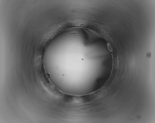 X0000113610263200910021810