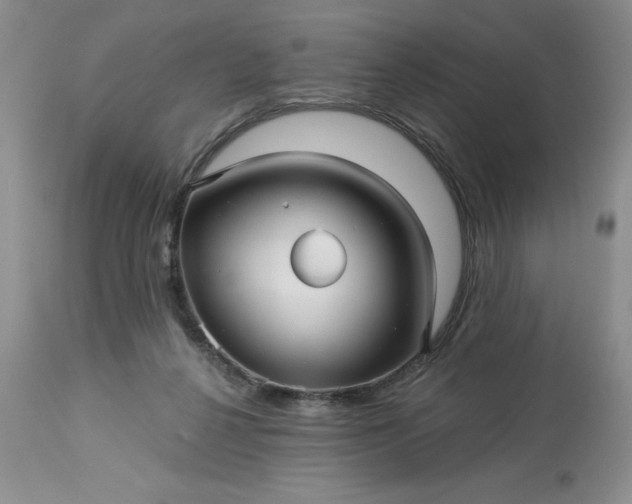 X0000113610264200910021810