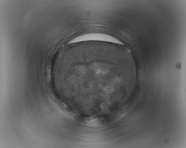 X0000113610267200910021810