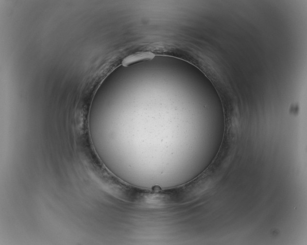 X0000113610268200910021810