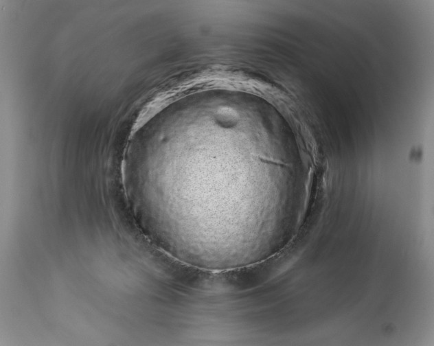 X0000113610269200910021811